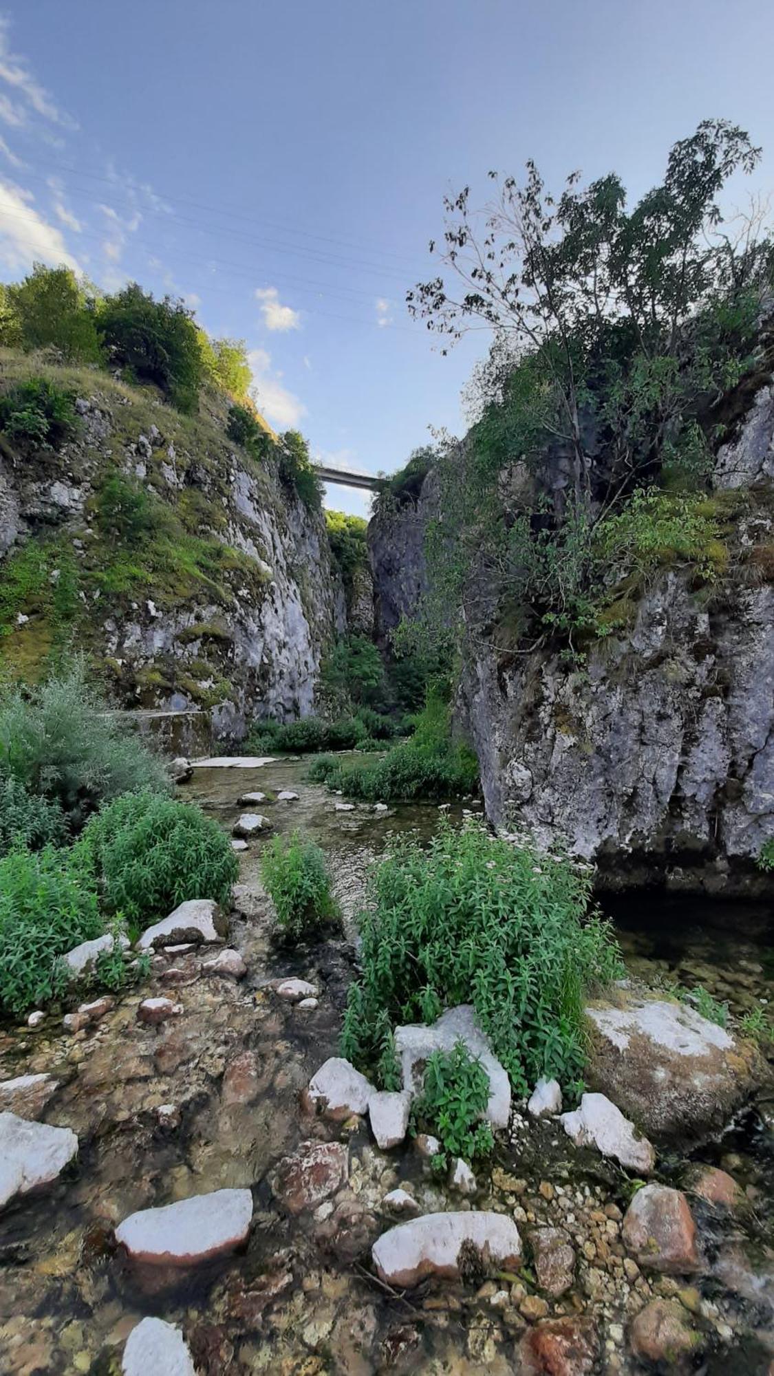 Apartments Durmitor Žabljak Exterior foto